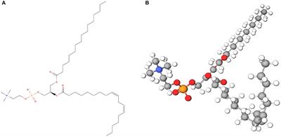The roles of soybean lecithin in aquafeed: a crucial need and update